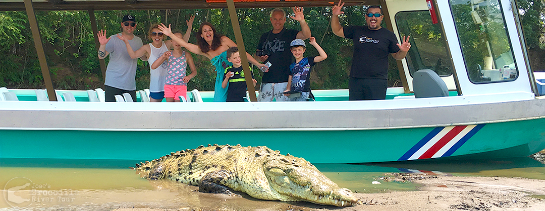 Crocodile boat visitors